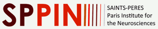 Logo SPPIN